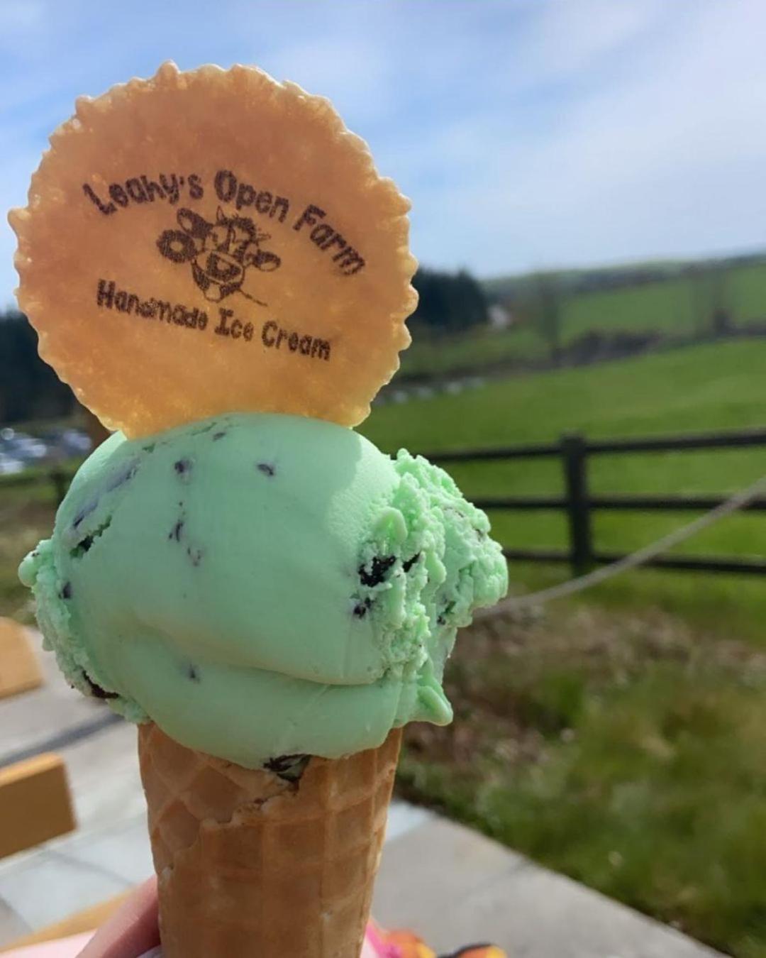 ホテル Leahys Pod Park コーク エクステリア 写真