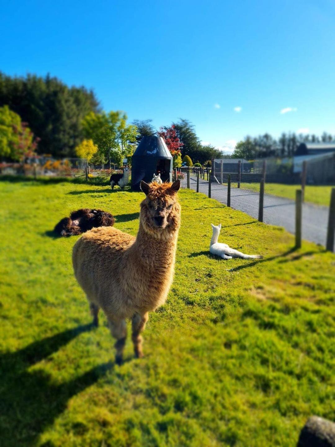 ホテル Leahys Pod Park コーク エクステリア 写真